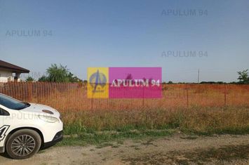 Săbăreni, teren intravilan construibil, cu utilităti in apropiere anunturi imobiliare Giurgiu