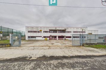 Hală de producție, cu birouri și teren, în Sebiș anunturi imobiliare Arad