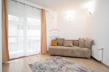 Închiriere Apartament 2 camere, Copou, cartier Bellevue, Curte 80 mp anunturi imobiliare Iasi