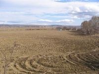Darian: Multi bani ai investitorilor au ramas “ingropati” in terenuri