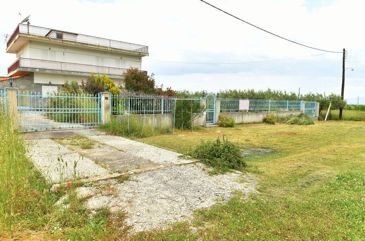 Casă cu două apartamente, 202 mp în Therma Nigrita anunturi imobiliare Grecia