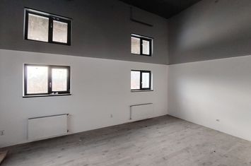 Casa 160 mp utili, 400 mp teren, Bucium Lidl anunturi imobiliare Iasi