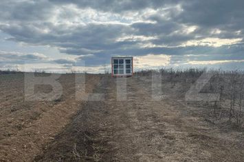 Teren de vanzare GILAU - Cluj anunturi imobiliare Cluj