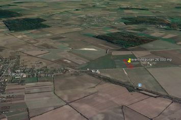 Vanzare teren intravilan 2,6 HA Caciulati anunturi imobiliare Bucuresti