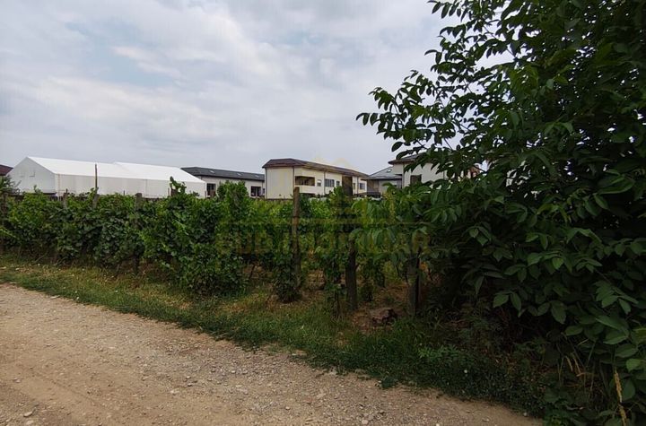 Teren intravilan Sf Agnes-559mp anunturi imobiliare Bucuresti