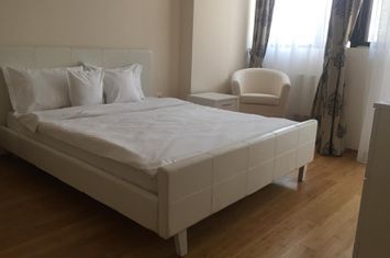 Apartament de inchiriat Lux 2 camere zona Copou-Stadion Emil Alexandrescu anunturi imobiliare Iasi