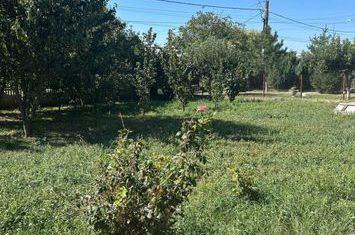 Casă - 4 camere de vanzare IASI - Iasi anunturi imobiliare Iasi