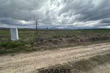 Teren de vanzare HARMAN - Brasov anunturi imobiliare Brasov