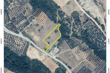 Teren construibil 3.500 mp în Zarkadia (front 40 m) anunturi imobiliare Grecia