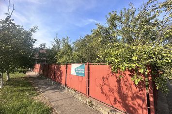 Casă - 4 camere de vanzare UIVAR - Timis anunturi imobiliare Timis