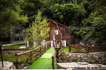 Casă - 25 camere de vanzare SEBES - Alba anunturi imobiliare Alba