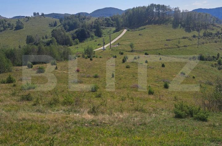 Teren de vanzare ALBA IULIA - Alba anunturi imobiliare Alba