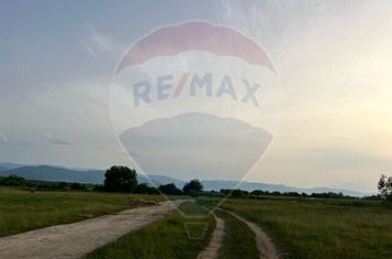Teren de vanzare 7.600 mp , zona  Zavoi, Sibiu anunturi imobiliare Sibiu