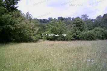 Teren de vânzare în Câmpina (zona semicentrală) anunturi imobiliare Prahova