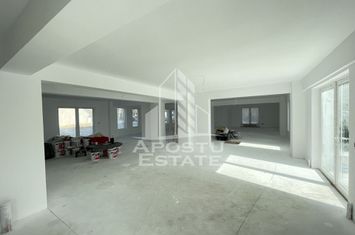 Spatiu comercial 238 mp, zona Lipovei , artera circulata anunturi imobiliare Timis