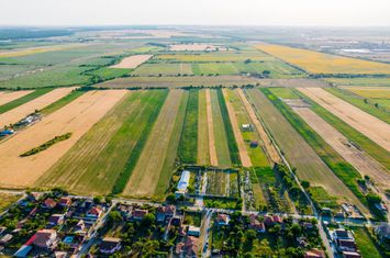 Teren Extravilan de vanzare BUJAC - Arad anunturi imobiliare Arad