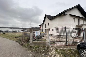 Vilă - 12 camere de vanzare STREMT - Alba anunturi imobiliare Alba