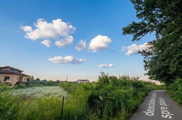 Foto 2 Teren în Snagov, intre Lac și Pădure anunturi imobiliare Sector 1