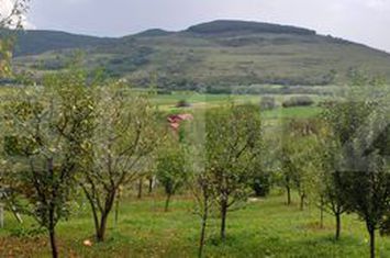 Teren de vanzare GHERLA - Cluj anunturi imobiliare Cluj