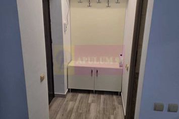 Apartament 2 camere Drumul Taberei, Drumul Valea Doftanei anunturi imobiliare Bucuresti
