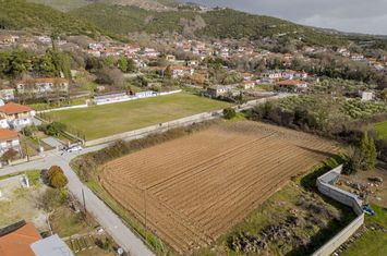 Teren agricol 4246 mp în Chrisokastro anunturi imobiliare Grecia