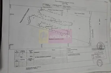 6,26 ha lângă DEx12 Pitești | 2,95 €/mp | acces DJ Pitești–Craiova anunturi imobiliare Arges