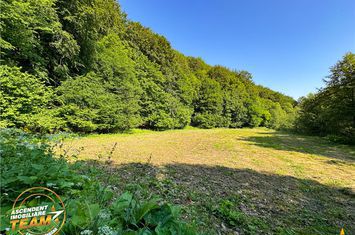 Teren Extravilan de vanzare DOBARLAU - Covasna anunturi imobiliare Covasna