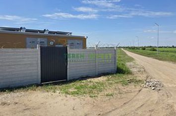TEREN INDUSTRIAL - CERNICA/FUNDENI -  PUZ APROBAT anunturi imobiliare Bucuresti