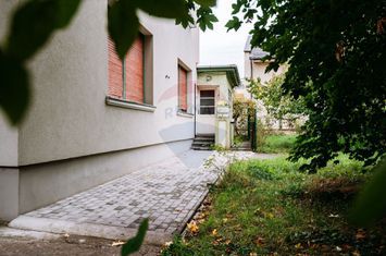 Apartament spațios cu grădină proprie într-o vilă interbelică renovată anunturi imobiliare Cluj