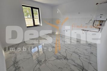 Vilă - 4 camere de vanzare IASI - Iasi anunturi imobiliare Iasi