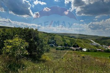 Teren de vânzare – 2.900 mp, Dezmir | Acces la două străzi, Comision 0 anunturi imobiliare Cluj