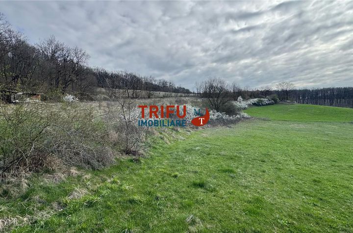 Teren Intravilan de vanzare AMPOITA - Alba anunturi imobiliare Alba