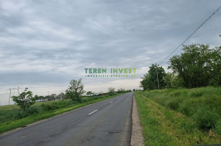 Teren 5.000 mp intravilan industrial - Frumusani DN 4 anunturi imobiliare Calarasi