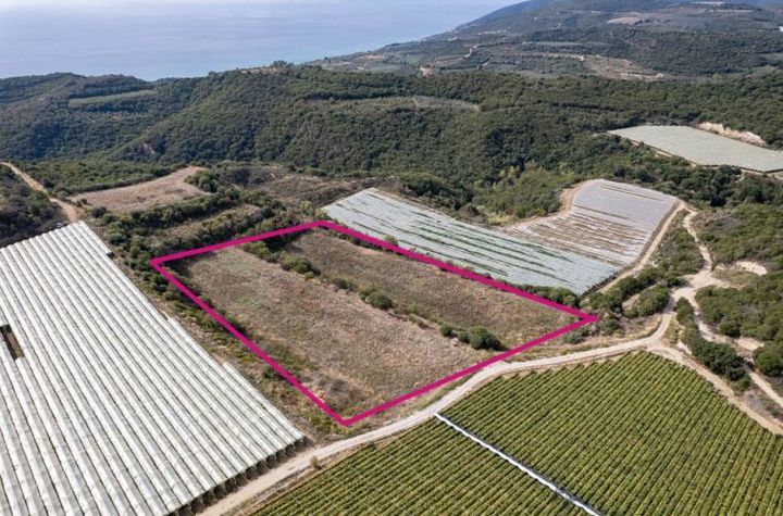 Teren 11.750 mp în Paralia Folias, Kavala anunturi imobiliare Grecia