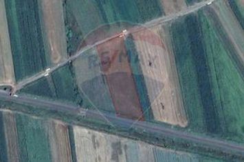TEREN INTRAVILAN  5100 mp.Sărmașag - jud. Sălaj / E81 Zalău Satu-Mare anunturi imobiliare Salaj