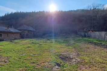 Teren de vanzare ANINOASA - Arges anunturi imobiliare Arges
