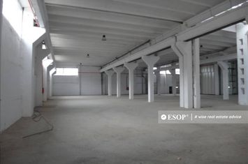 Spațiu industrial de inchiriat BRAGADIRU - Bucuresti anunturi imobiliare Bucuresti