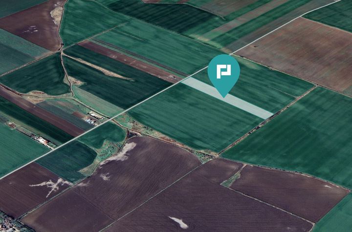 Teren 30.000 mp cu acces asfaltat – Peciu Nou anunturi imobiliare Timis