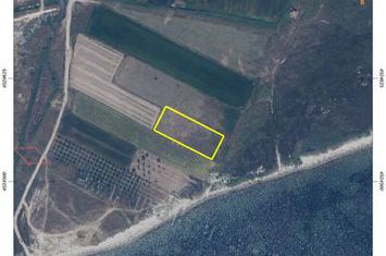 Teren 2.528 mp la 50 metri de mare, Piges anunturi imobiliare Grecia