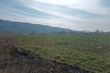 Teren agricol plat 3000 mp de închiriat, Moustheni anunturi imobiliare Grecia