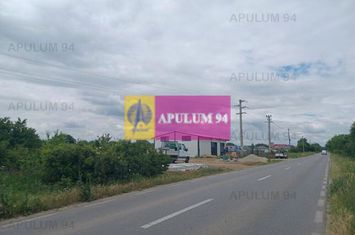 Săbăreni, teren 1900 mp, stradal, hală depozitare, productie, comert anunturi imobiliare Giurgiu