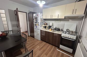 Apartament 3 camere de vanzare LIPOVEI - Timis anunturi imobiliare Timis