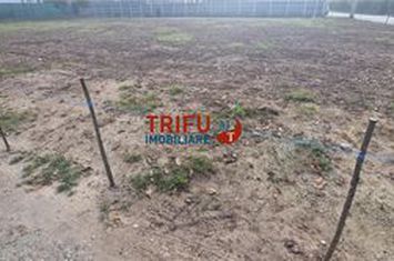 Teren Intravilan de vanzare CETATE - Alba anunturi imobiliare Alba