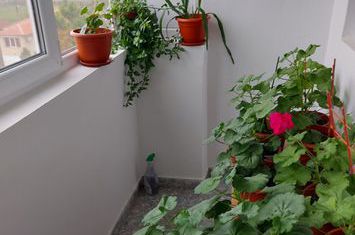 MANGALIA AP 2 CAMERE ZONA 1 DECEMBRIE anunturi imobiliare Constanta