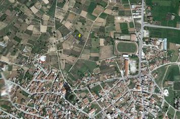 Teren 1.800 mp cu măslini în Nigrita, Serres anunturi imobiliare Grecia