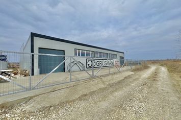 Spațiu industrial de inchiriat IASI - Iasi anunturi imobiliare Iasi