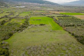 Teren agricol 2725 mp în Moustheni, Kavala anunturi imobiliare Grecia