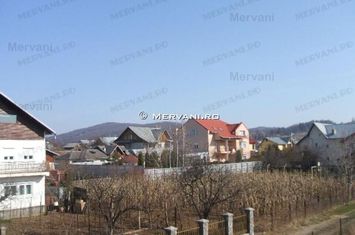 Vilă de vânzare în Câmpina anunturi imobiliare Prahova