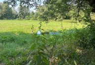 50.000 €, Teren Intravilan