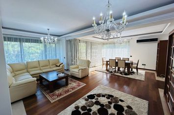 Apartament 4 camere, lac Herastrau, vedere parc anunturi imobiliare Bucuresti